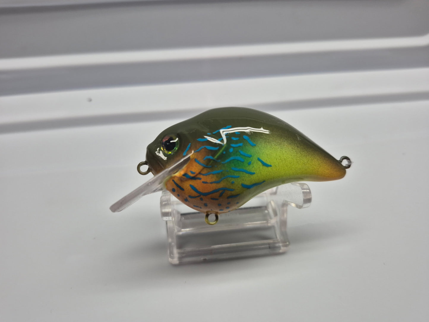 Green Blue Gill