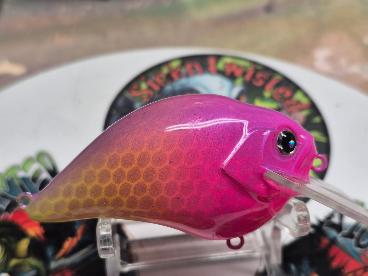 LIVE Custom Crankbait