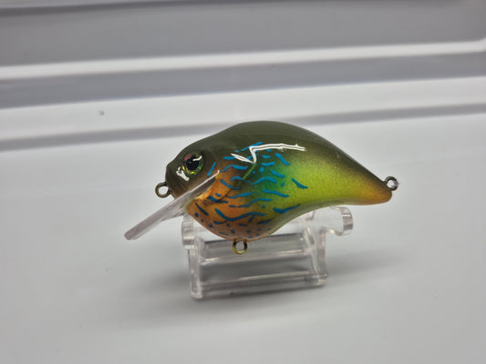 Green Blue Gill