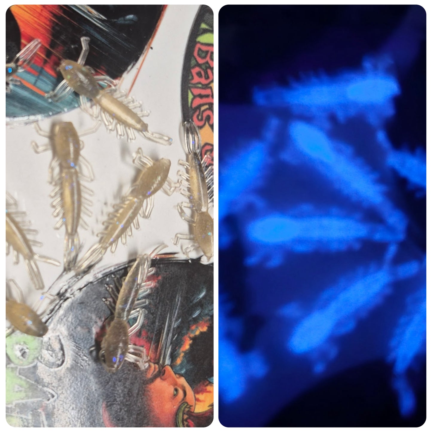 1 inch Helgermite Watermelon Grey