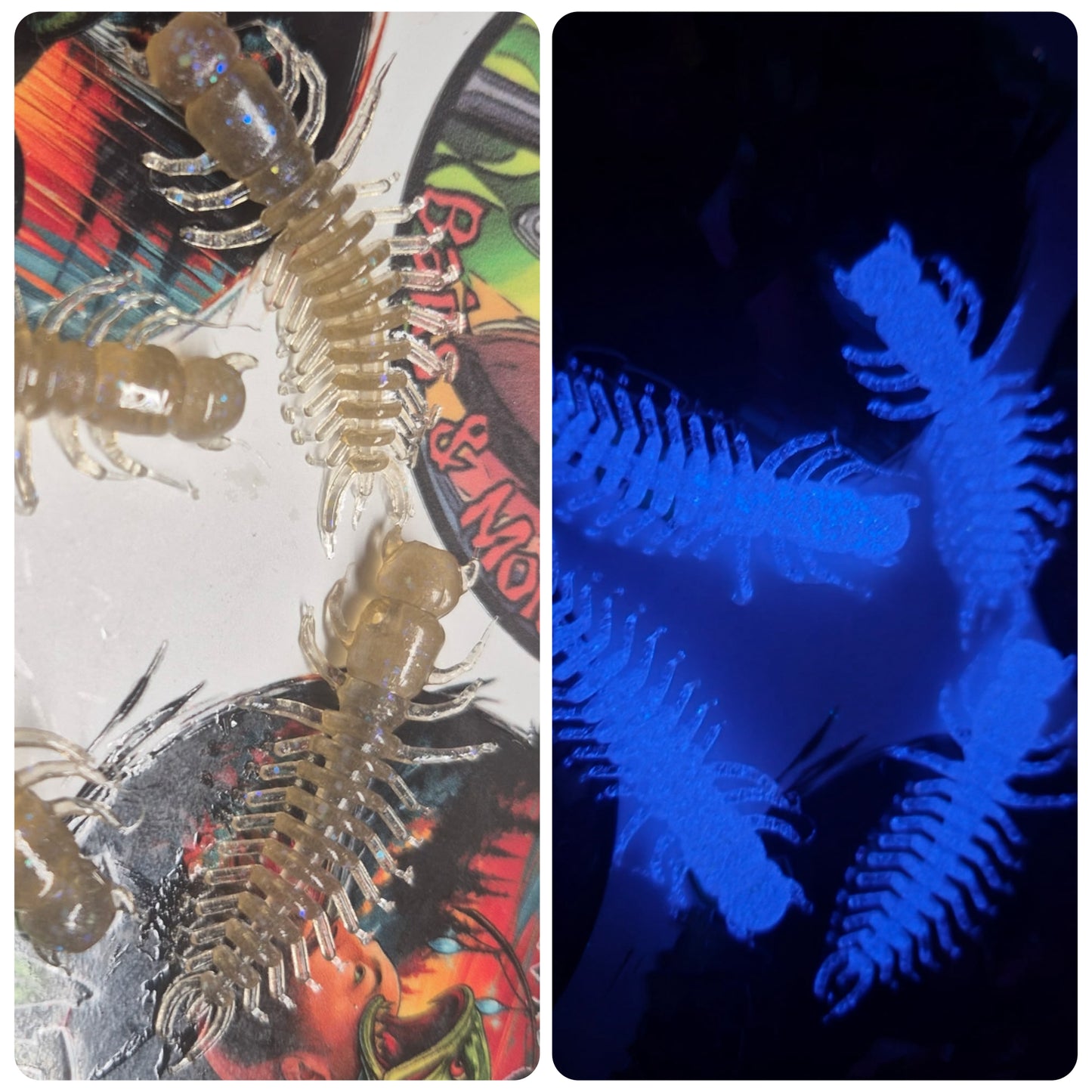 2 inch Helgermite Watermelon Grey