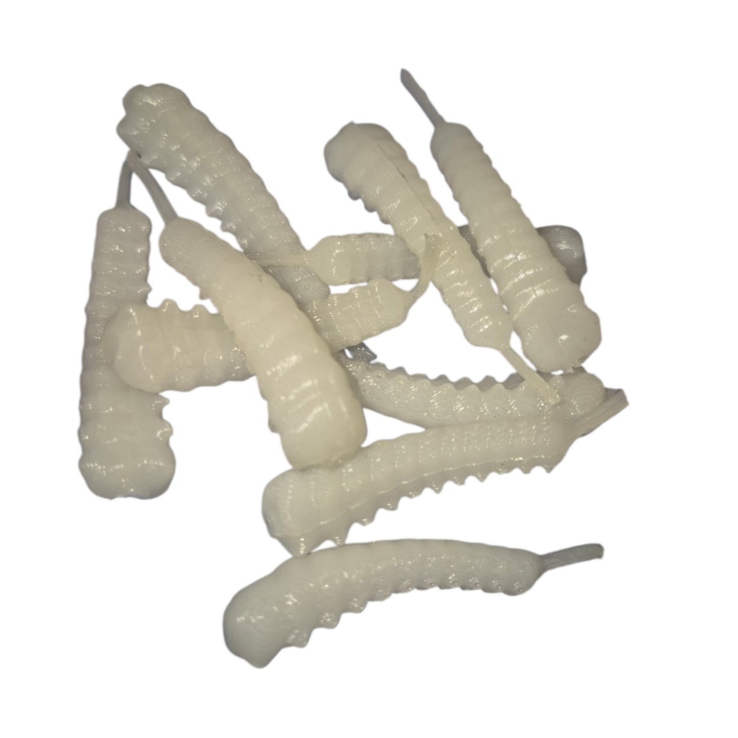 Caterpillar Larvae White