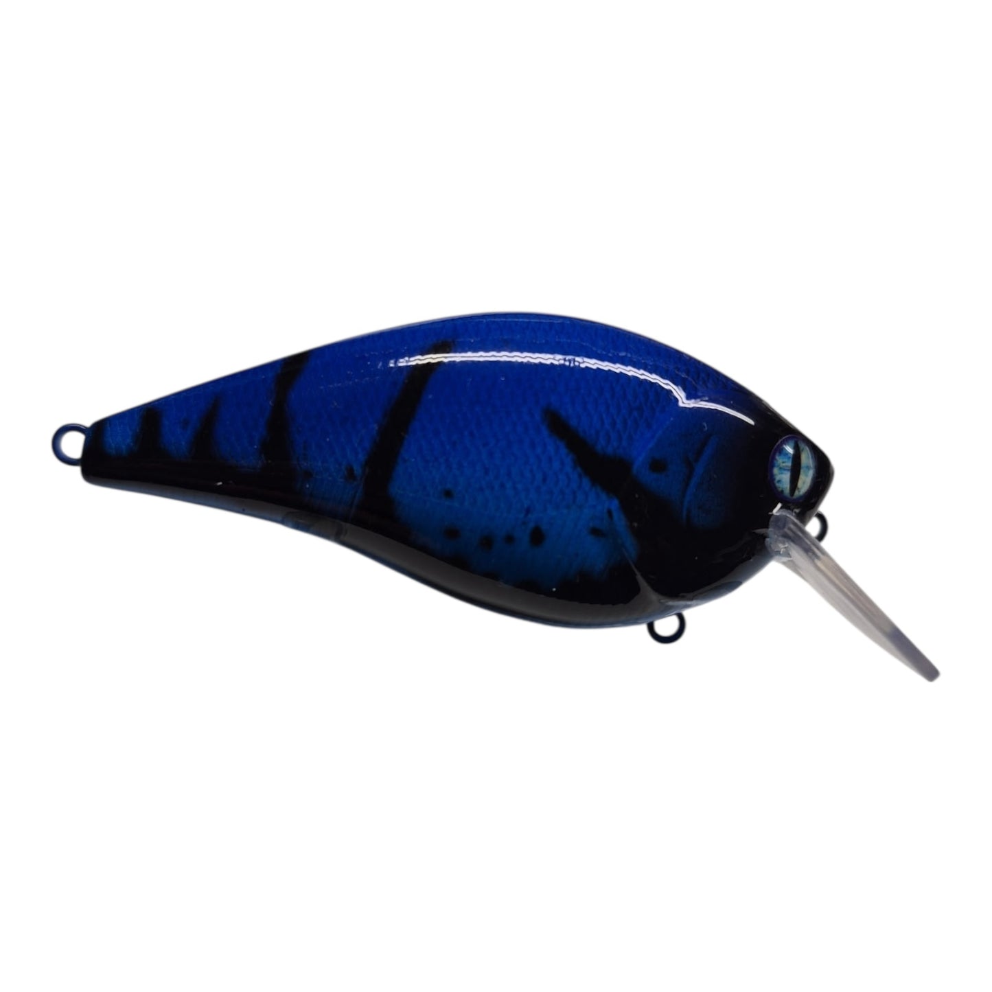Black Craw on Blue
