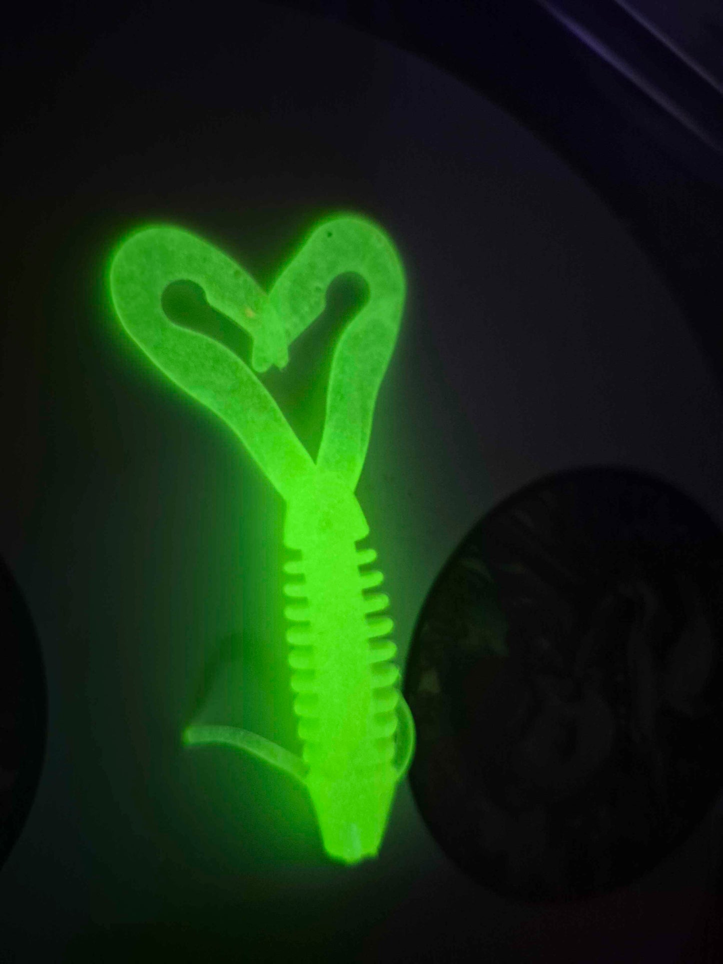 Chubby Chaser Chartruese