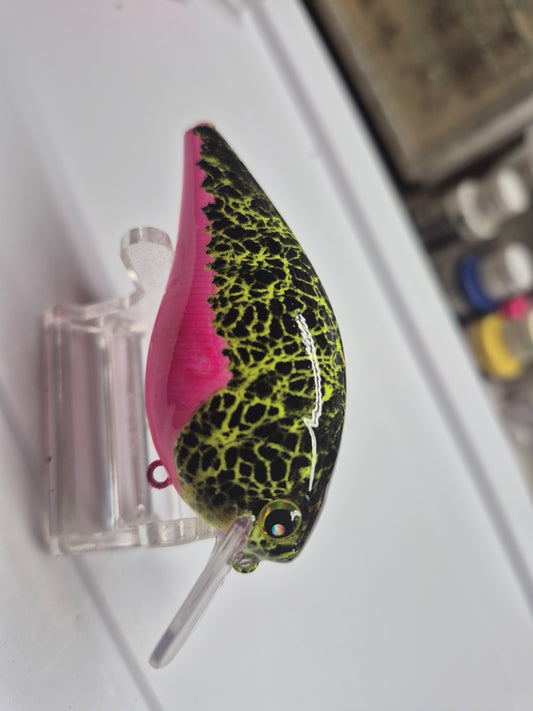 Discount blem in belly